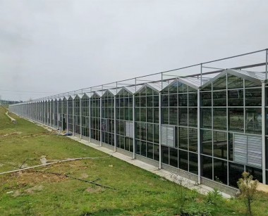 玻璃温室案例现场