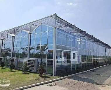 玻璃温室案例现场