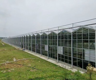 玻璃温室案例现场