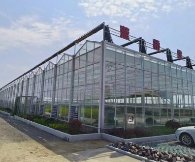玻璃温室案例现场