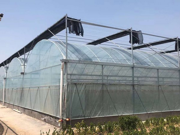 薄膜温室