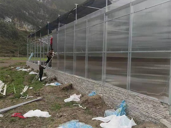 阳光板温室